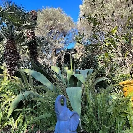 Hannah Cap D'antibes