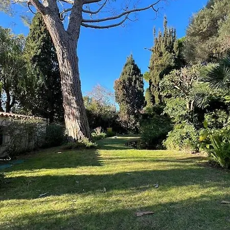 Hannah Cap D'antibes